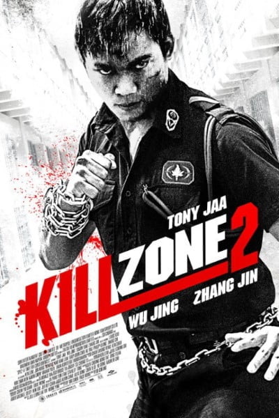 Download Kill Zone 2 (2015) Dual Audio (Hindi-Chinese) 480p [400MB] || 720p [1GB]