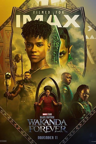 Download Black Panther Wakanda Forever (2022) {Hindi-English} IMAX 480p & 720p & 1080p Web-DL