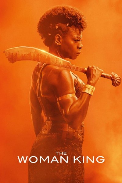 Download The Woman King (2022) Dual Audio (Hindi-English) Esub Bluray 480p [480MB] || 720p [1.2GB] || 1080p [2.9GB]