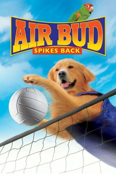Download Air Bud Spikes Back (2003) {Hindi-English} Dual Audio 480p | 720p | 1080p WEB-DL Download Air Bud Spikes Back (2003) {Hindi-English} Dual Audio 480p | 720p | 1080p WEB-DL