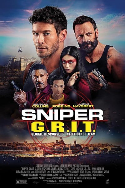 Download Sniper: G.R.I.T. – Global Response & Intelligence Team (2023) WEB-DL [Hindi-English] 480p | 720p | 1080p ESub