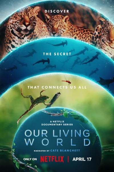 Download Our Living World (Season 1) WEB-DL {Hindi-English} 720p | 1080p ESub NetFlix Web Series